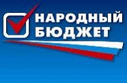 «Единая Россия» предлагает гражданам самим решать, на что тратить бюджетные деньги. Закон о «народном бюджете» принят в I чтении 